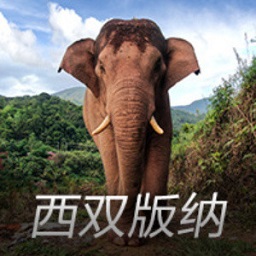 2577亿，今年最大并购又刷新了